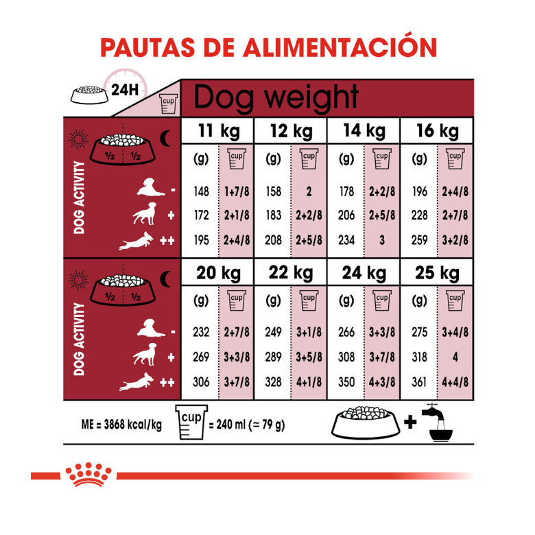 Royal Canin Medium 10+ Ageing pienso para perros, , large image number null